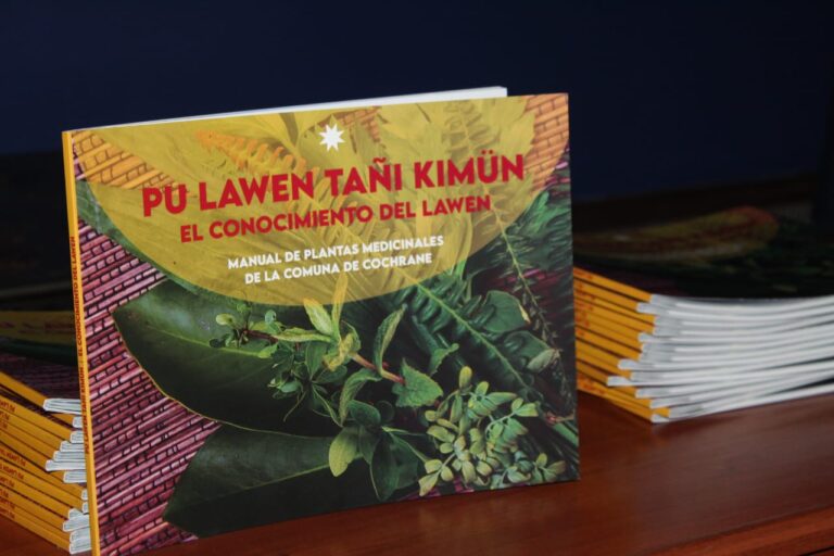 LANZAMIENTO LIBRO (3)