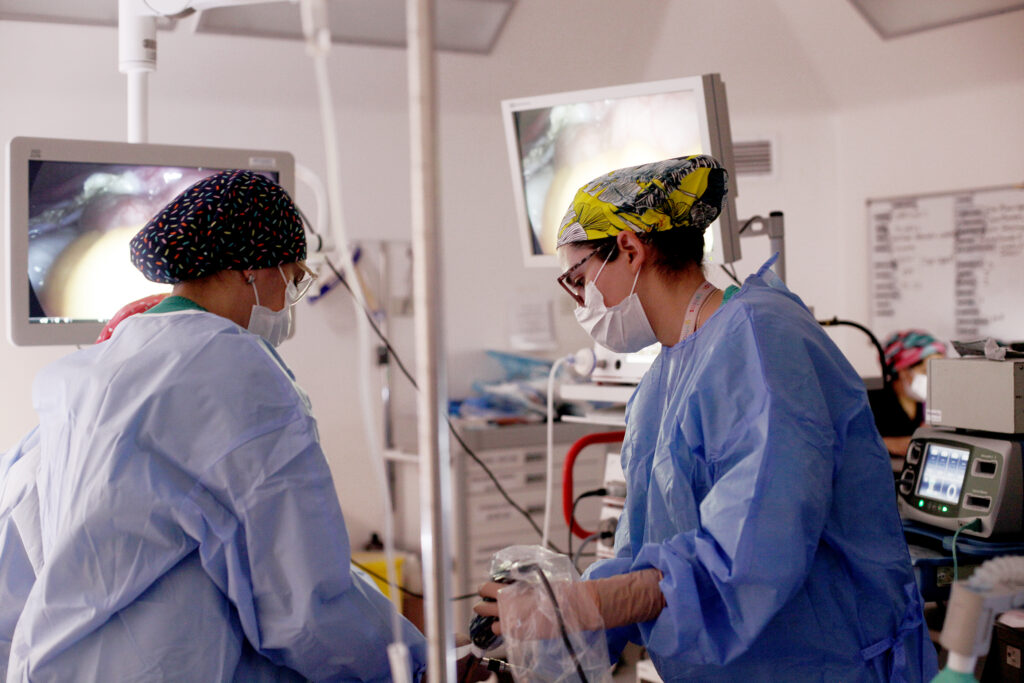 Más de 5.500 personas salen de la lista de espera en Aysén gracias a programa regional de salud